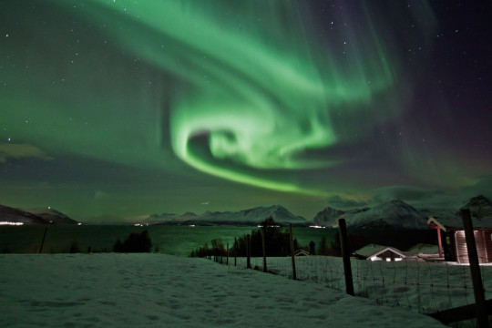 Aurora Borealis - Norway