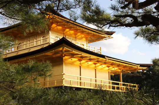 Golden Pavilion - Kyoto - Japan