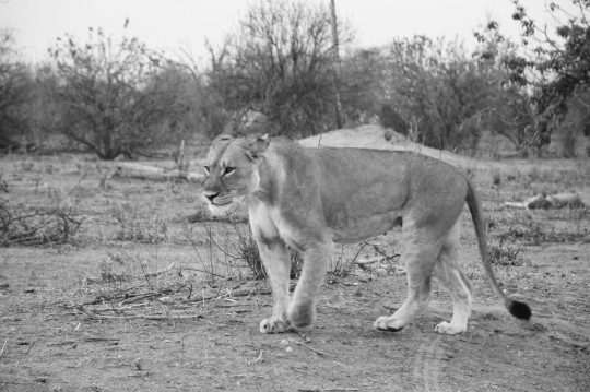 Botswana